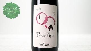 [2550] 100% Pinot Noir 2019 LOUIS MAURER / 100% ԥΡΥ 2019 륤⡼顼