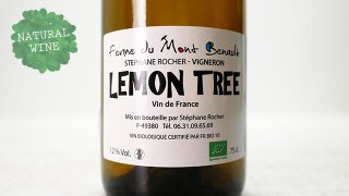 [2475] Lemon Tree 2019 La Ferme de Mont Benault / 󡦥ĥ꡼ 2019 롦եࡦɡ󡦥֥Ρ