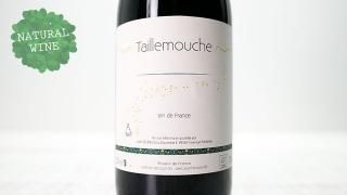 [2475] Taillemouche 2019 Julien Delrieu / ࡼ 2019 ꥢ󡦥ǥ塼