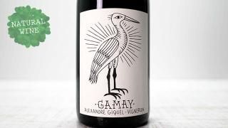 [3450] GAMAY 2018 Alexandre GIQUEL / ᥤ 2018 쥯ɥ롦