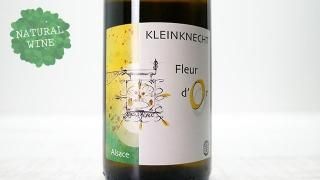 [1875] Fleur d'Or 2018 Kleinknecht / ե롼롦ɡ 2018 饤󥯥ͥҥ