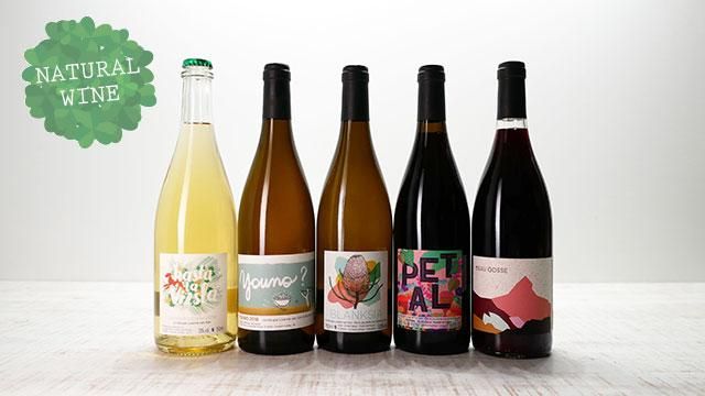 2475] Petal 2019 Sonshine Vins / ペタル 2019 ソンシャイン