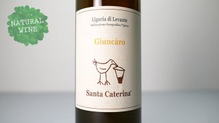 [2625] Giuncaro 2018 Santa Caterina / 󥫡 2018 󥿡ƥ꡼