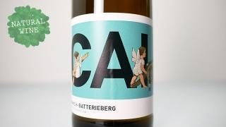 [2250] CAI Riesling Kabinett trocken 2019 Immich-Batterieberg / CAI ꡼󥰡ӥͥåȡȥå 2019