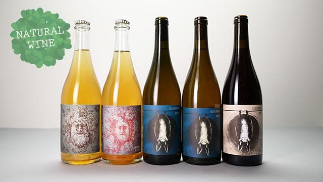 フレデリマウス・ヴァイス、アト、リナー・シルヴァナー 2021 フレデリマウス・ヴァイス、アト、リナー・シルヴァナー 2021 3120