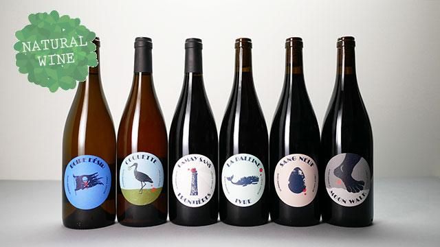 3375] MOONWALK 2019 Cyrille Vuillod / ムーンウォーク 2019 シリル