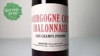 [3000] Bourgogne Cote Chalonnais Les Champs Pernin 2019 SANTINI COLLECTIVE / ֥르˥ ȡ͡ 2019