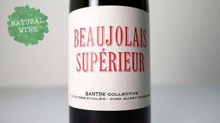[2625] Beaujolais Superieur 2019 SANTINI COLLECTIVE / ܡ졦ڥ塼 2019    ƥˡ쥯ƥ