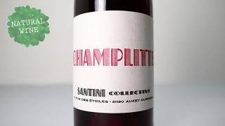 [2925] Champlitte 2019 SANTINI COLLECTIVE / ץå 2019 ƥˡ쥯ƥ