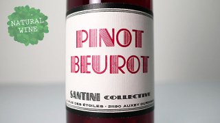 [3000] Bourgogne Pinot Beurot 2019 SANTINI COLLECTIVE / ֥르˥ ԥΡ֡ 2019 ƥˡ쥯ƥ