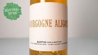 [3000] Bourgogne Aligote 2019 SANTINI COLLECTIVE / ֥르˥塦ꥴ 2019 ƥˡ쥯ƥ