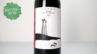 白ワイン　シャルドネ 2019年　720ml 12本 白ワイン シャルドネ 2019年 720ml 12本 白ワイン シャルドネ 2019年