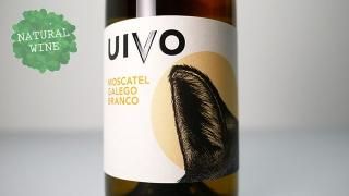 [2175] UIVO MOSCATEL GALEGO BRANCO 2019 FOLIAS DE BACO /  ⥹ƥ롦쥴֥ 2019 եꥢǡХ