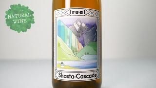 [꡼Ԥ][3440] SHASTA-CASCADE WHITE 2020 IRUAI-METHODE SAUVAGE / 㥹= ۥ磻 2020