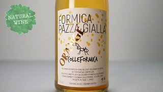 [2250] Formica Pazza Gialla 2019 Colleformica / フォルミカ・パッツァ・ジャッラ 2019 コッレフォルミカ