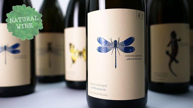 アンドレアス ツェッペ Blaue Libelle(青トンボ) 2019-