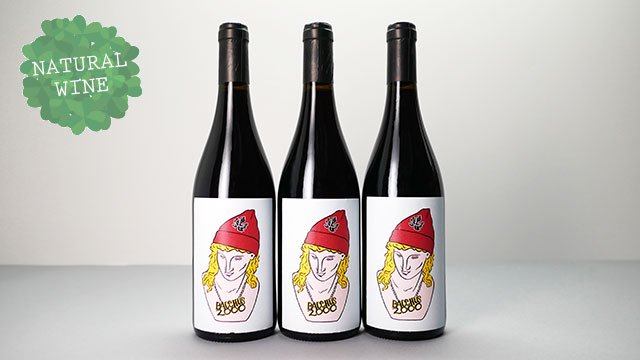 2775] Bacchus 2020 Thibault Stephan / バッカス 2020 チボー・ステファン -  ナチュラルワイン(自然派ワイン・ビオワイン)を日本全国にお届け！「THE WINE SHOP.TOKYO」