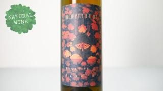 MOMENTO MORI WINES - ナチュラルワイン(自然派ワイン