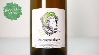 [2700] Bourgogne Aligote 2019 Vini Viti Vinci / ֥르˥塦ꥴ 2019 ˡƥ