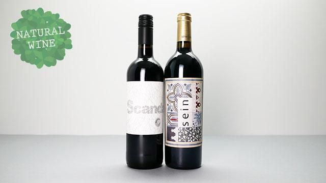1840] Sein 2018 Bodega Vinessens / セイン 2018 ボデガ