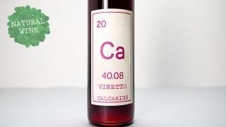 [2560] Vinetto 2019 Calcarius / ヴィネット 2019 カルカリウス