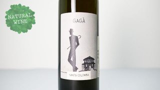 [2160] Gaga 2020 Vini Santa Colomba / ガガ 2020 ヴィーニ・サンタ・コロンバ