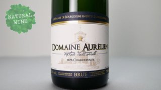 [2400] Cremant de Bourgogne en chatillonnais Blanc de Blancs Brut NV Domaine Aurelien 