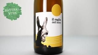 [1920] Raglio dell'Asino 2019 L'Acino / 顼ꥪǥ롦 2019 顼