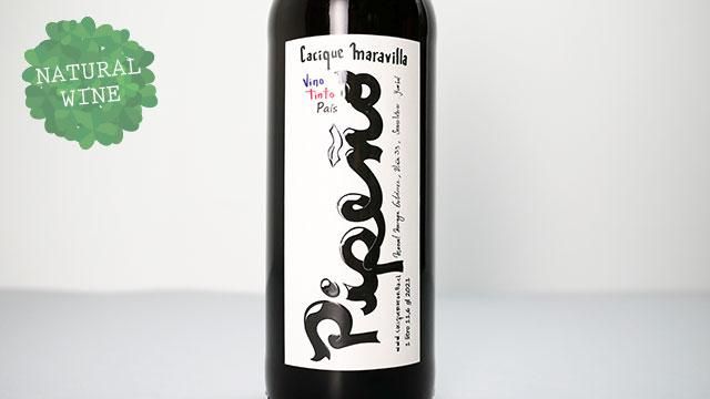 2400] Pipeno 2021 Cacique Maravilla / ピペーニョ 2021 カスィック