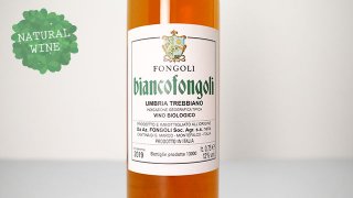 [1875] Bianco Fongoli 2019 Fongoli / ӥ󥳡ե󥴥 2019 ե󥴥