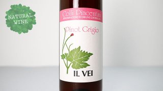 [1680] Pinot Grigio 2020 Il Vei / ԥΡ꡼ 2020 롦