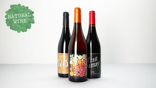 3360] TRAIT GAMAY 2018 REMI SEDES / トレ・ガメイ 2018 レミ