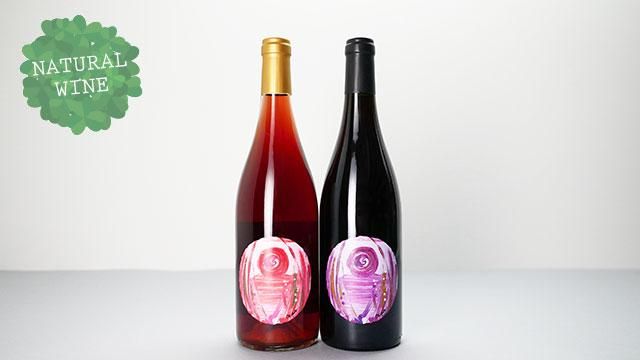 北海道ワイン　 ドメーヌイチピノ・ノワール2023 ドメ－ヌ・イチ／ICHI-P 2023 ピノ・ノワール サンスフル (店内