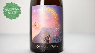 [4480] CONSCIENCIA COSMICA 2020 Cosmic Vinyaters / c 2020 ߥå˥ơ