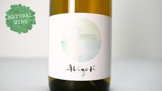 [3120] Aligote 2020 RAPHAELLE GUYOT / ꥴ 2020 ե롦奤