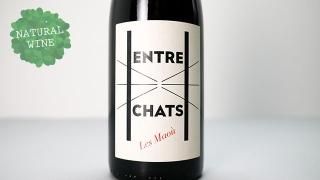 [2400] Entre chat 2020 Domine Les Maou / ȥ졦 2020 ɥ᡼̡졦ޥ