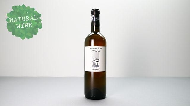 6800] Taibane 2017 La Biancara / タイバーネ 2017 ラ