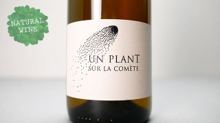 [2400] Un Plant sur la Comete 2019 Domaine de la Graveirette / 󡦥ץȡ롦顦å 2019