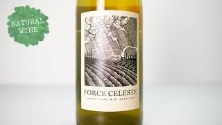 [2640] Force Celeste Chenin Blanc 2020 / Mother Rock Wines / ե쥹ơʥ֥ 2020 ޥå磻