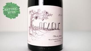 [4960] CUVEE COCAGNE 2019 DOMAINE ANTOINE COULY / ١˥ 2019 ɥ᡼̡ȥ̡ꥣ