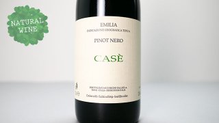 [2240] Case' 2015 Alberto Anguissola / カゼ 2015 アルベルト・アングイッソラ