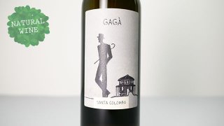[2160] Gaga 2020 Vini Santa Colomba /  2020 ˡ󥿡