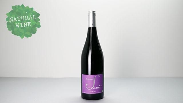 2240] Pinot Noir 2019 Domaine des Soulie / ピノ・ノワール