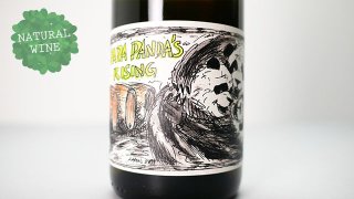 [3040] Papa Panda’s Rising 2020 Jan Matthias Klein / パパ パンダズ ライジング 2020 ヤン・マティアス・クライン