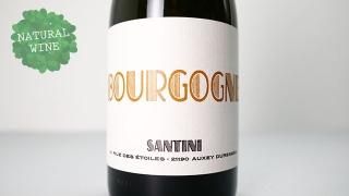 [3600] Bourgogne Blanc 2020 SANTINI COLLECTIVE / ֥르˥塦֥ 2020 ƥˡ쥯ƥ