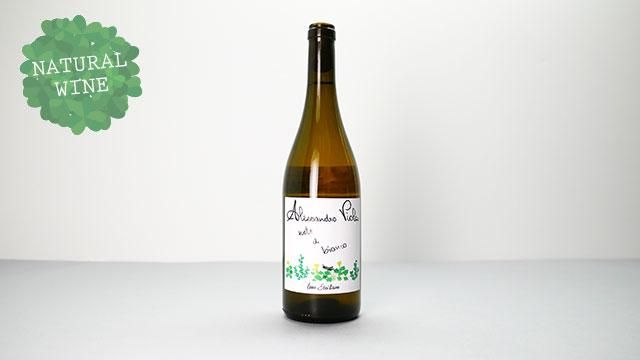 3040] Note di Bianc 2021 Alessandro Viola / ノーテ・ディ・ビアンコ