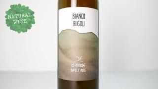 [2160] Bianco Rugoli 2020 Davide Spillare / ӥ󥳡롼 2020 ǡԥå