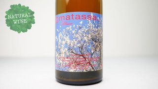 [3840] Blossom 2020 Matassa / ブロッサム 2020 マタッサ