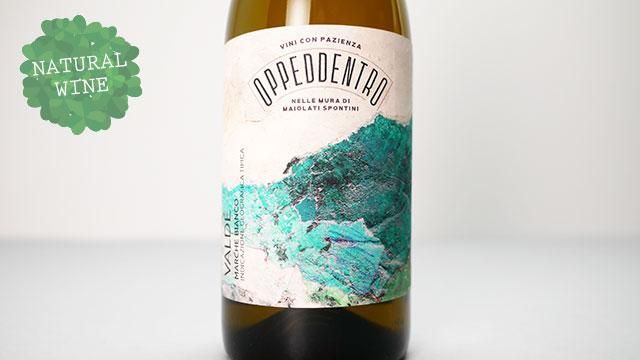 ワイン K10 DZVM23_1080x.jpg?v=1715388919