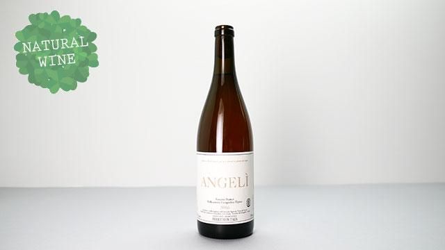 6800] Angeli 2016 MICHELE LORENZETTI / アンジェリ 2016